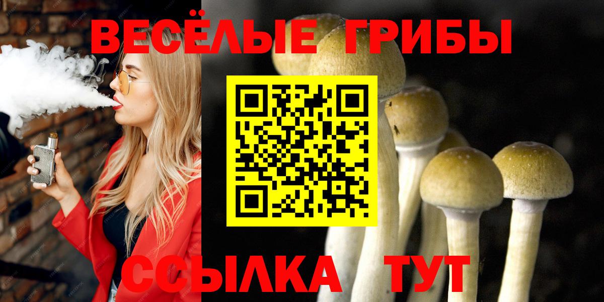Псилоцибиновые грибы Psilocybe  Вход с VPN  где найти наркотики  Галлюциногенные грибы Psilocybine cubensis  Серпухов 